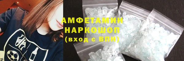 индика Богородск