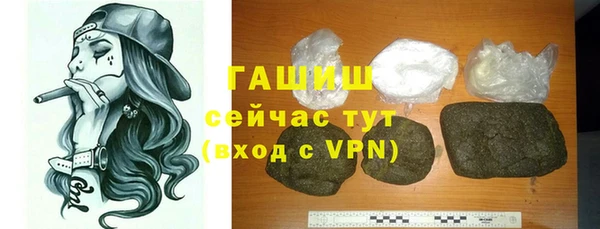 индика Богородск