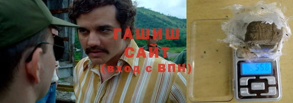 индика Богородск