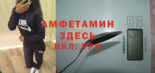 спиды Богородицк