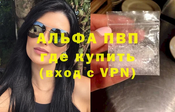 спиды Богородицк