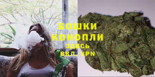индика Богородск