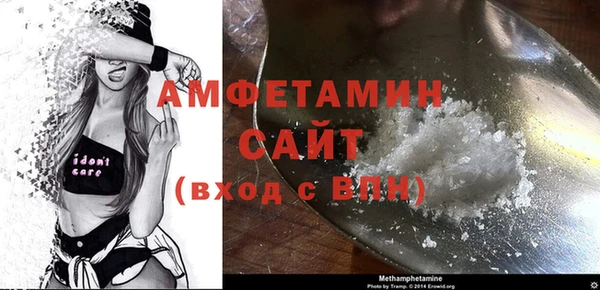 спиды Богородицк