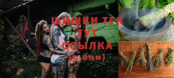 индика Богородск