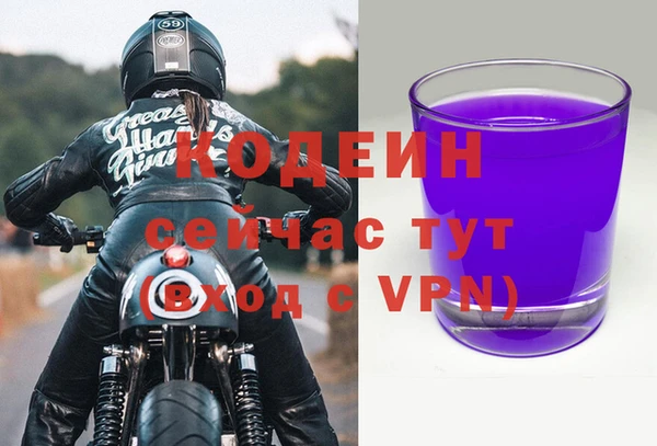 индика Богородск