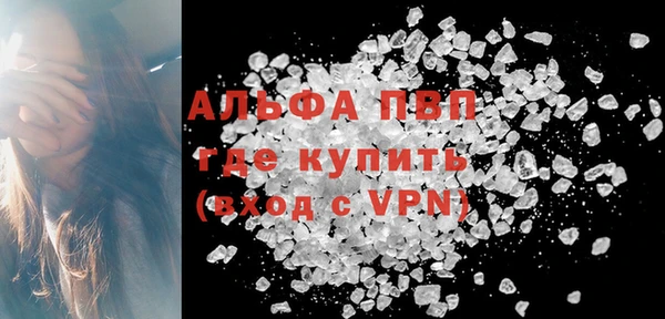 индика Богородск