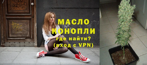 индика Богородск