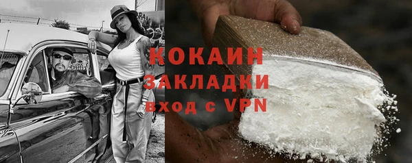 индика Богородск