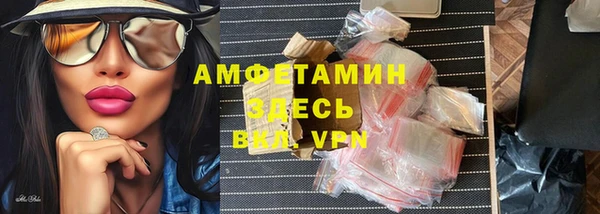 спиды Богородицк